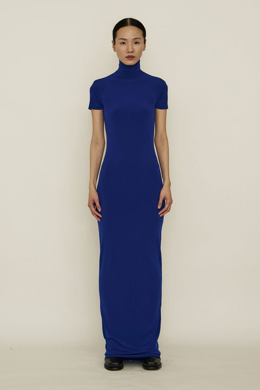 BLUE SKINNY HIGH NECK SHORT-SLEEVE MAXI DRESS